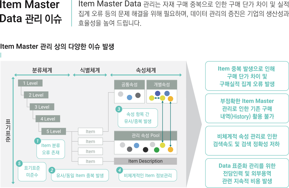 Item Master Data 관리 이슈